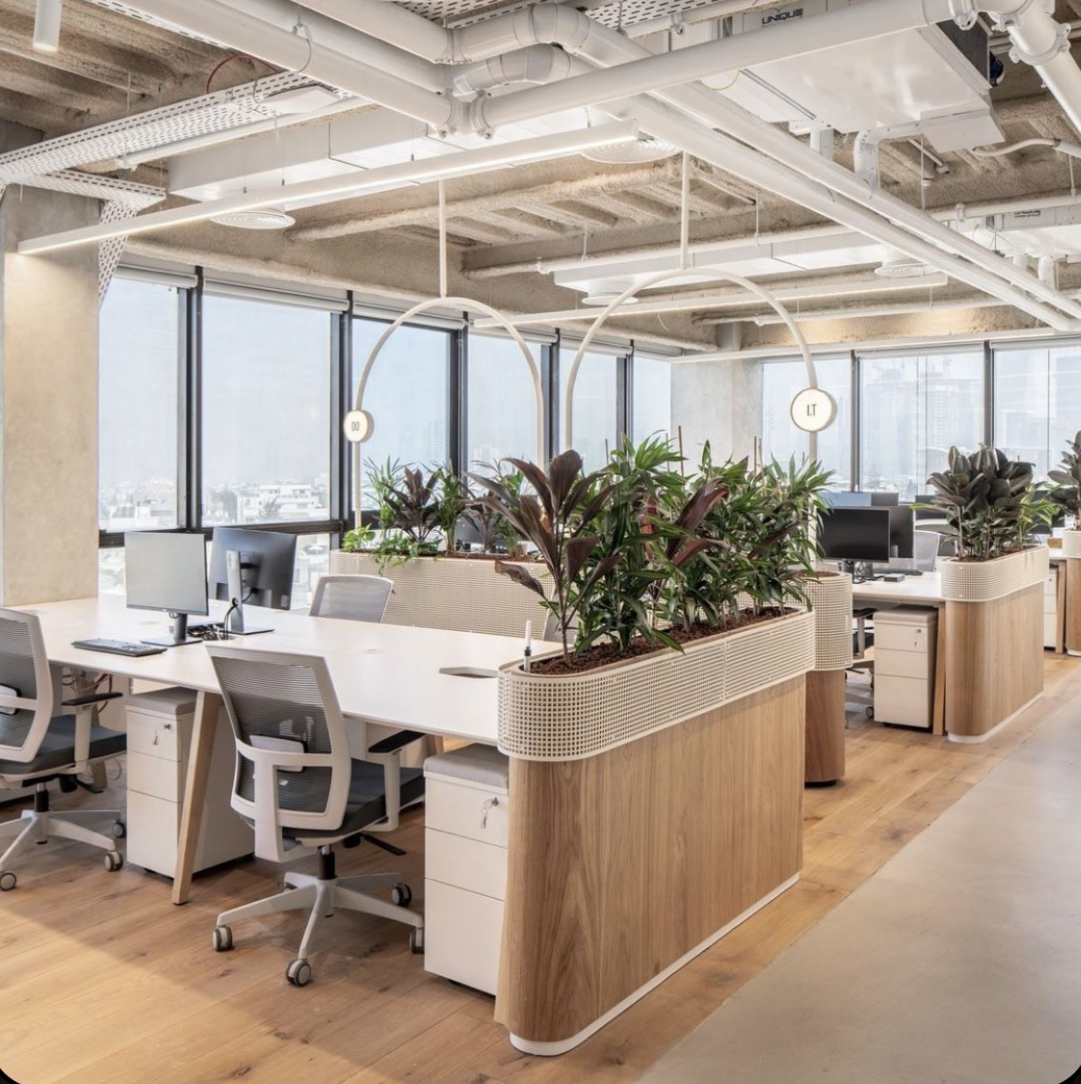 Professional office environment with clean rug